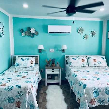 Beautiful And Comfortable Rom Apt # 2 Tampa Exterior photo